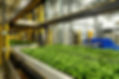 Vertical Farming World Congress 2026