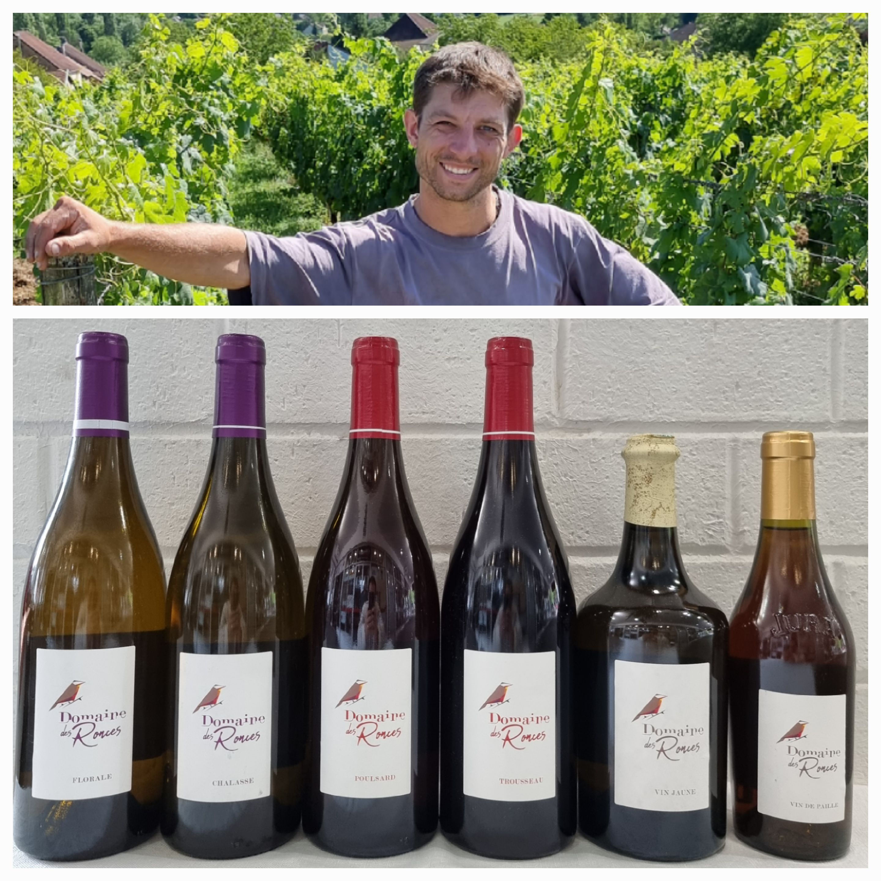 Domaine des Ronces, Côtes du Jura - Discovery Mixed Selection (6 bottles)