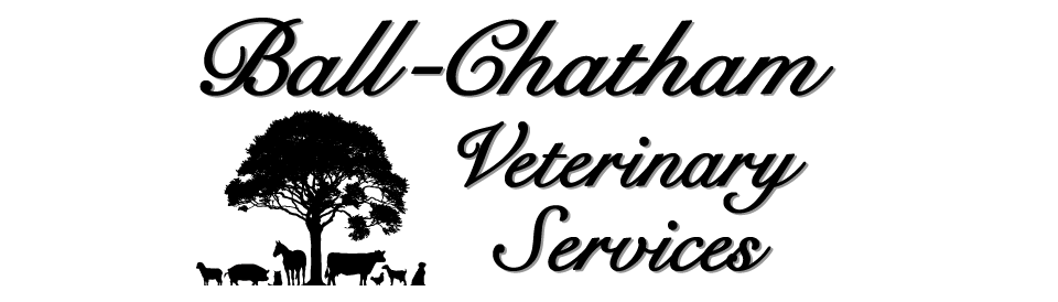 Home | Ball-Chatham Veterinary Services Home | Ball-Chatham Veterinary Services
