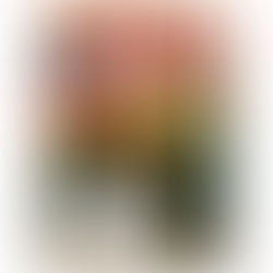 MeLX2026: PROF.CUNNINGHAM AND HIS OLD SCHOOL BAND