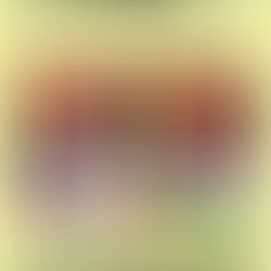 ミスターバーク日吉津店２月オススメは仔羊(ラム)です！