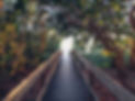 Pathway to a brighter future