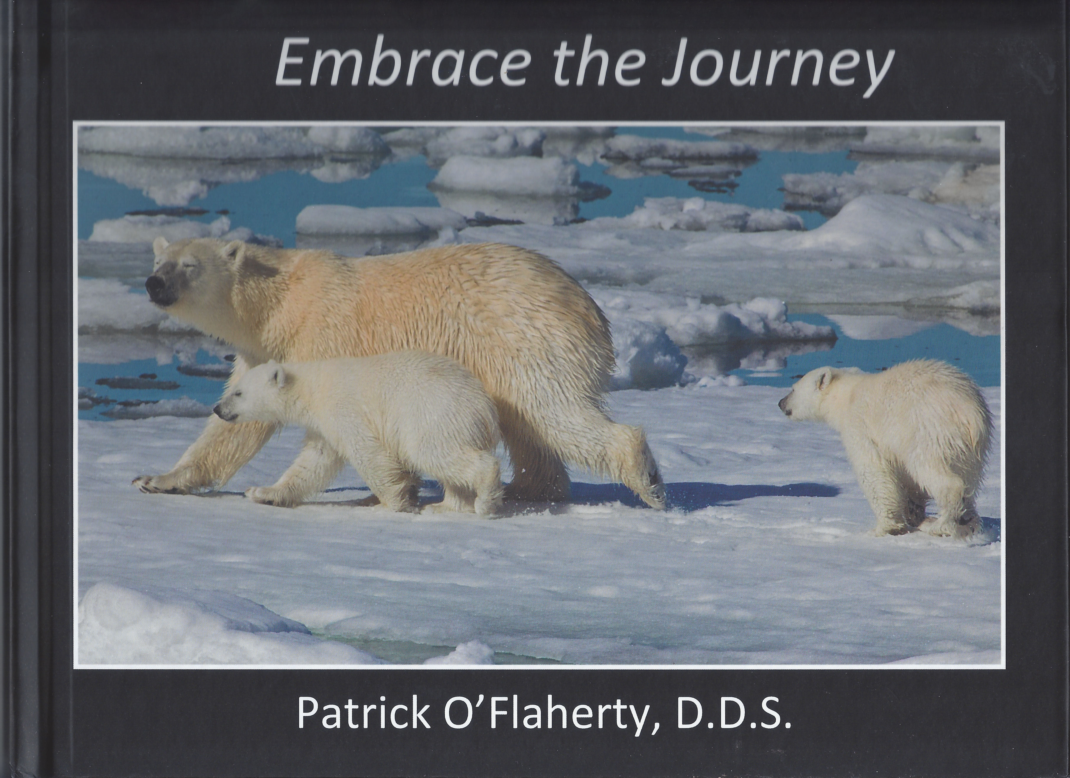 Embrace the Journey - 301 page eBook