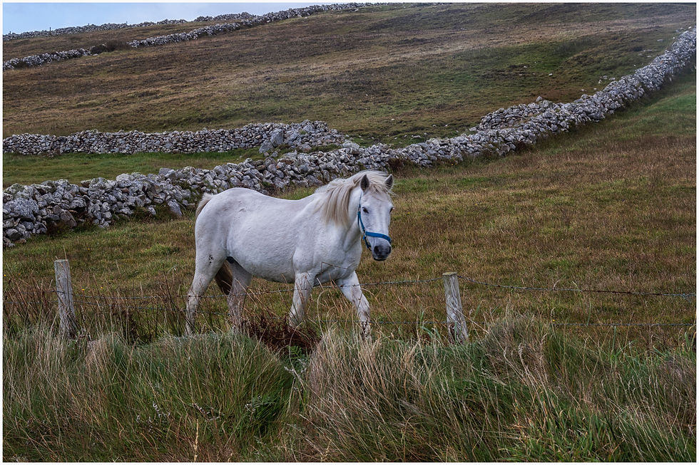 Ireland 2_55