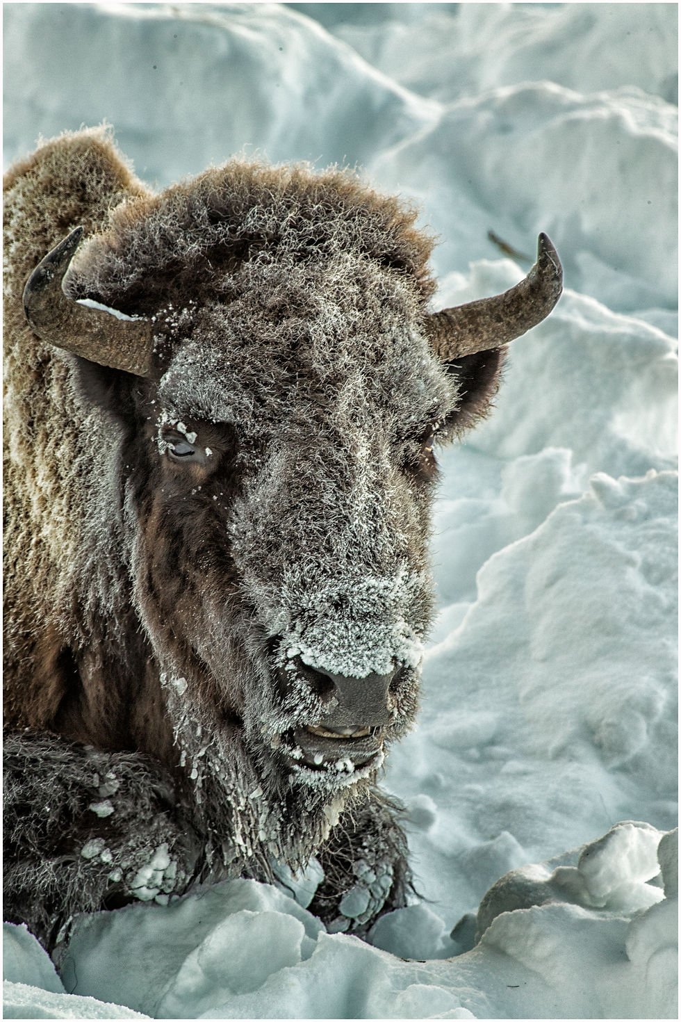Yellowstone_03