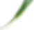 Spring_Onion_PNG_Transparent_Clipart..png