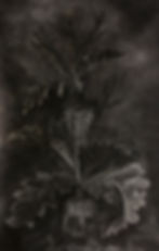 New Vanitas