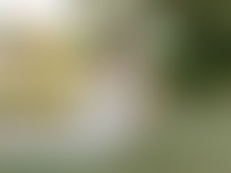 Saying 'I Do' to Affordable Wedding Photography and Videography with Starr Photo & Video