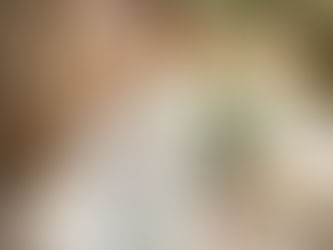 Impersonation and Fraudulent Activity Alert