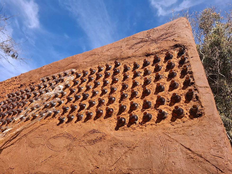 image credit: Anita Venter 'Radiant Wall (Unlearn - relearn)'