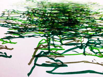 the performance of drawing