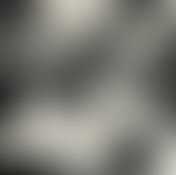 I AM mycorrhizal network