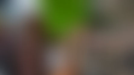 Trump endorses neo-Nazi “remigration” theory as military occupation expands in Los Angeles