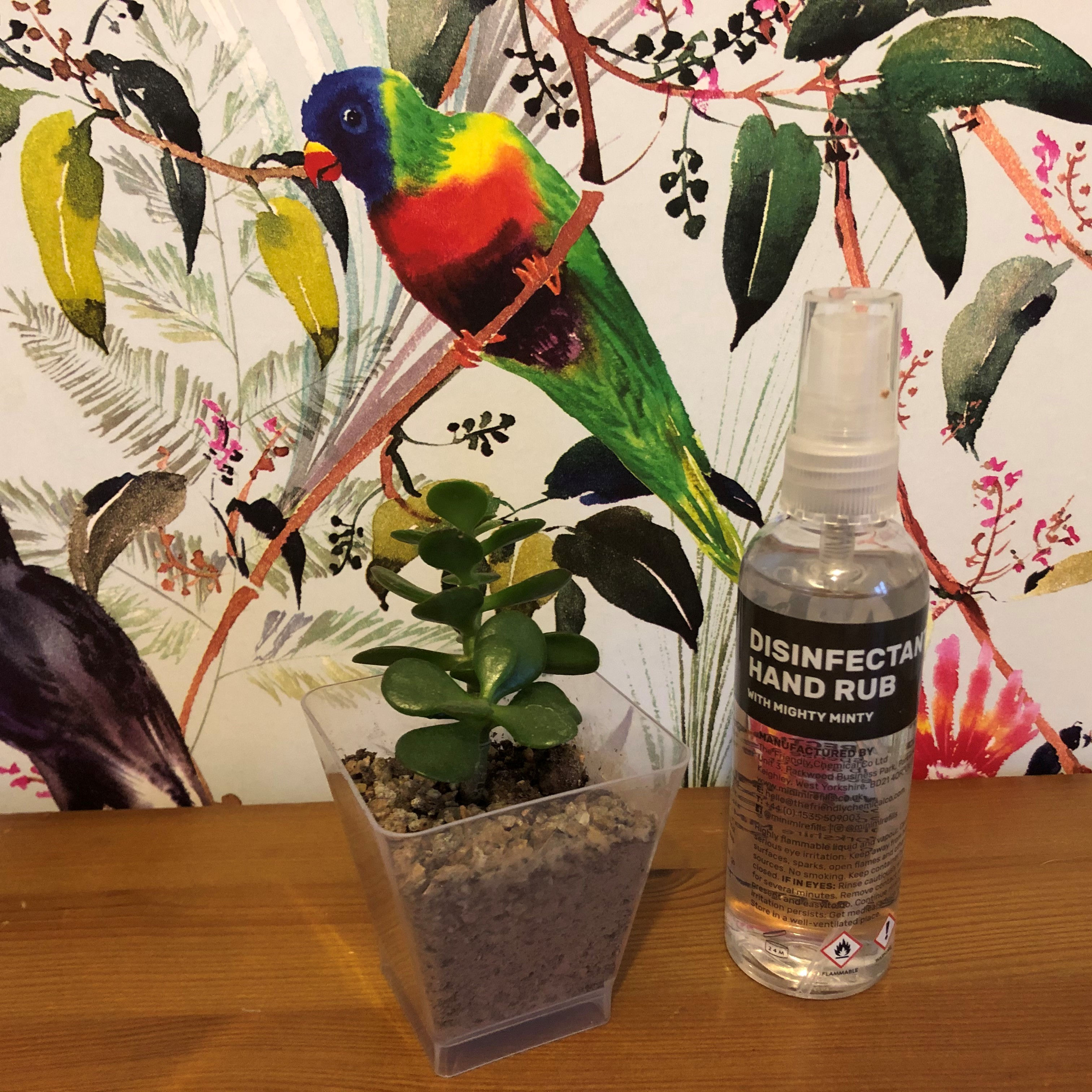 Disinfectant hand rub - spray sanitiser (per 100ml)