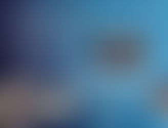 NEWSLETTER - Foxes Forum - January 2023