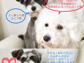 お待たせしました!予約開始しております。