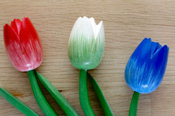 houten-nederlandse-tulpen-37746012.jpg