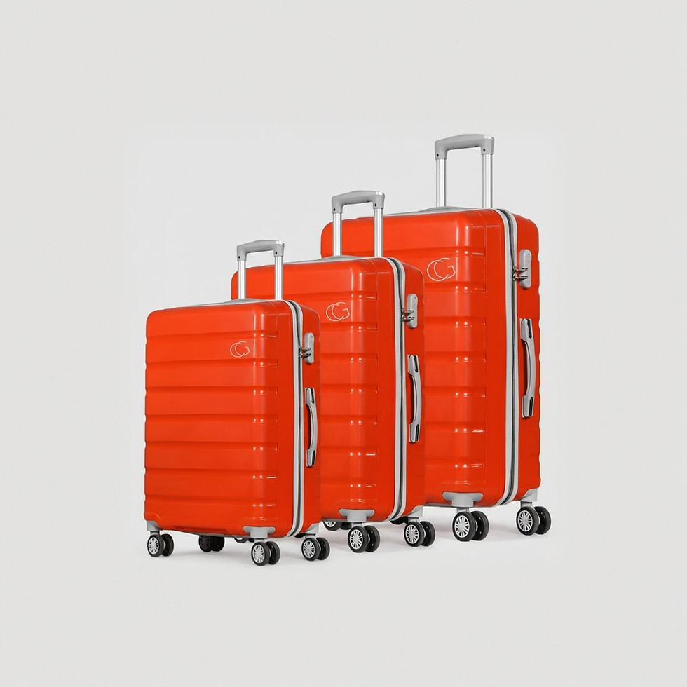 luggage trolley, trolley bag, suitcase, travel bag, rolling luggage, spinner luggage