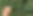 kaffee.png