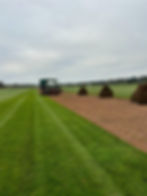 Thumbnail: Standard Lawn Turf 1 sq yd 