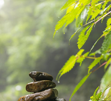 Mindfulness (Paths to Personal Well-Being).jpg