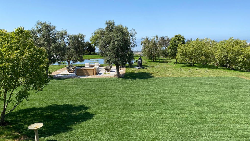 a large lush green field with a swimming pool in the background