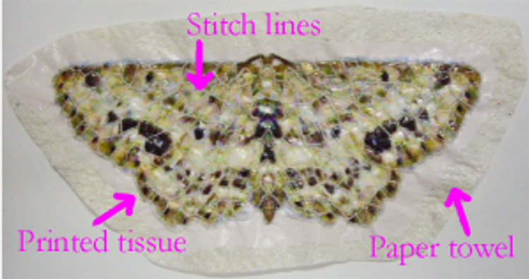Paper applique