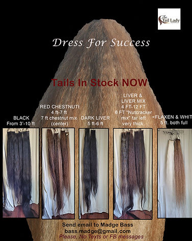 Tails-in-Stock.jpg
