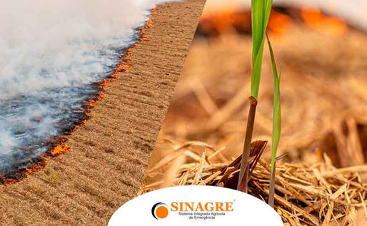 SINAGRE Sistema Integrado Agrícola de Emergência