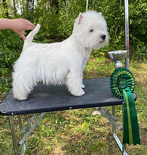 vinski ryp4 2024.jpeg