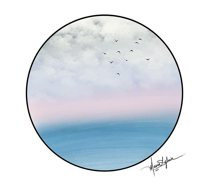 birds flying over the ocean