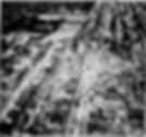 This aerial image was published in the May 21, 1927 Indianapolis Star. The image is looking north, with Hamilton Street in the middle. Washington Street is on the bottom of the image, just out of frame.