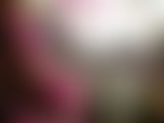 Adana: Taşın Belleğinde Saklı Katmanlar