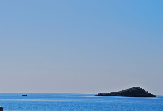 DSC_0271.JPG