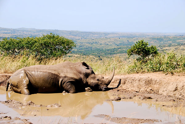 SA 2009 251_edited.jpg