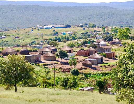 SA 2009 185_edited.jpg