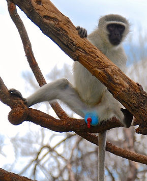 DSC_0290 (2)_edited.jpg