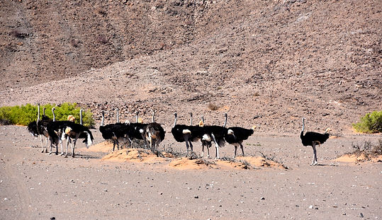 DSC_0505_edited.jpg