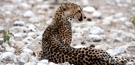 DSC_0644_edited.jpg