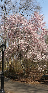 IMG_20190414_104835_edited.jpg