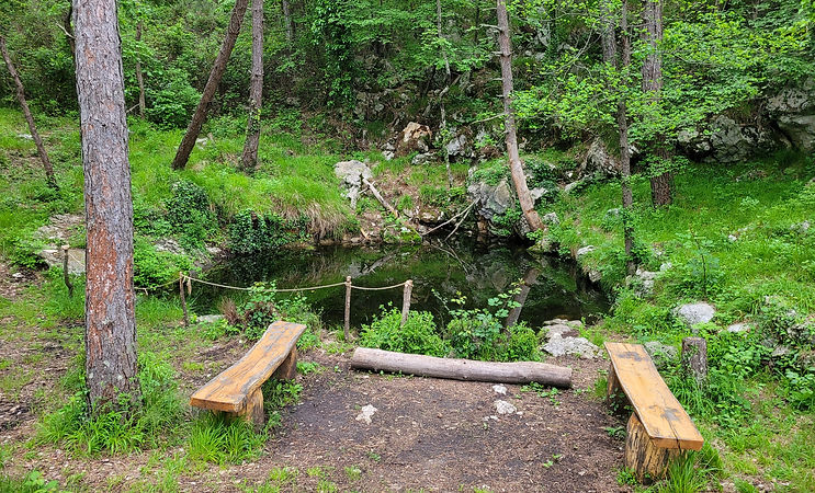 20230520_064747.jpg