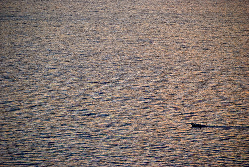 DSC_0211_edited.jpg
