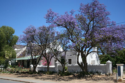 256.jpg