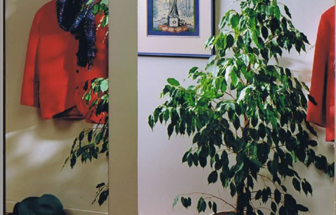 Radiateur Miroir Hall