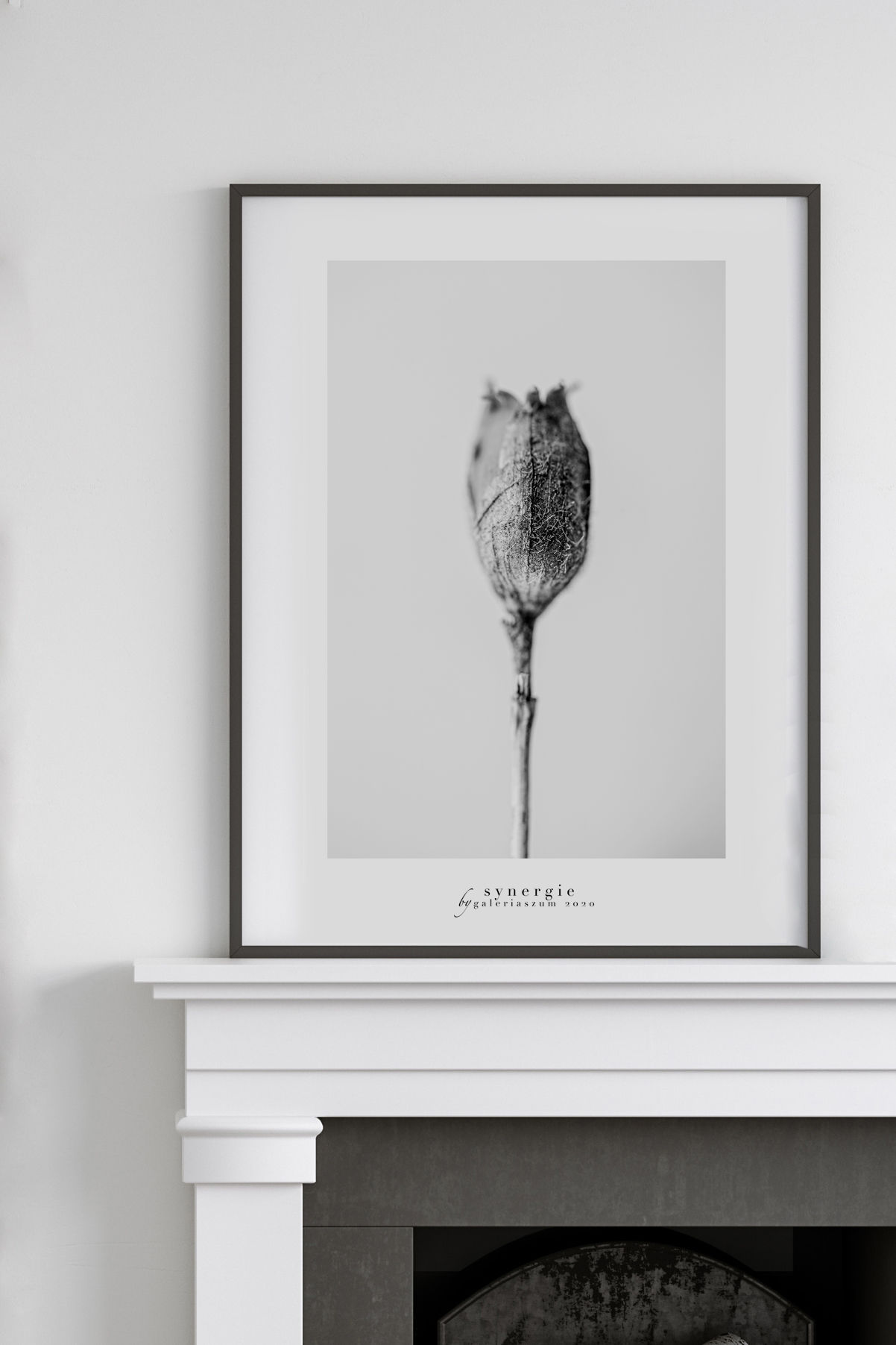G e r a n i u m - plakat