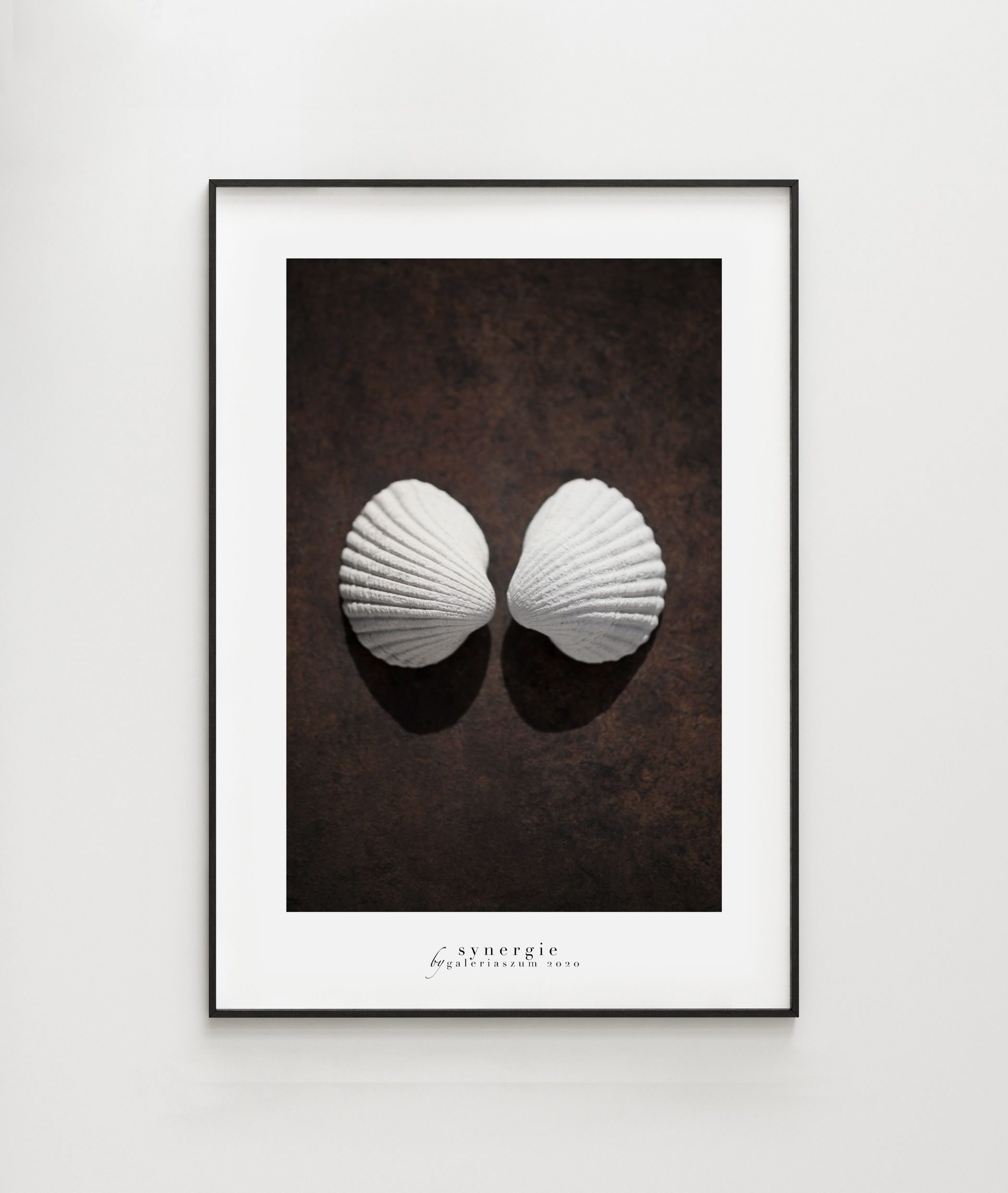 Synergie Shells - plakat