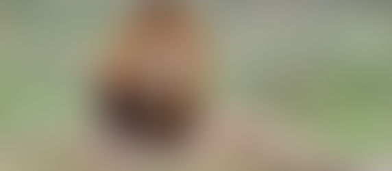 טיול בין בעלי חיים, שמורות טבע ונופים עוצרי נשימה בקרוגר פארק