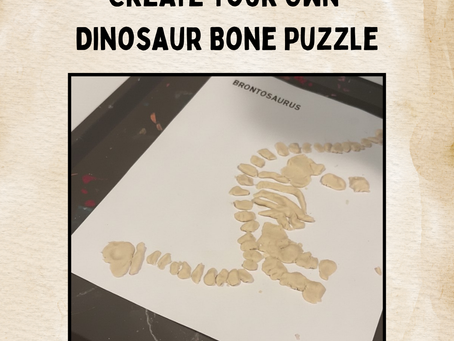 Fossil Activities for Kids
