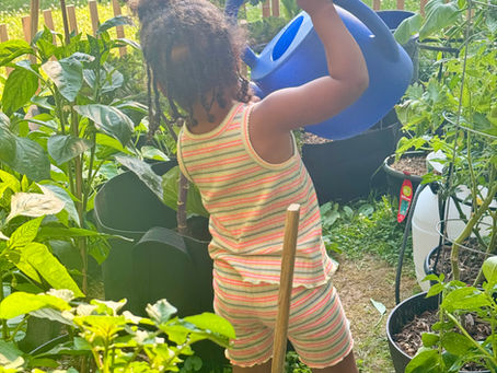 Toddler in the garden 