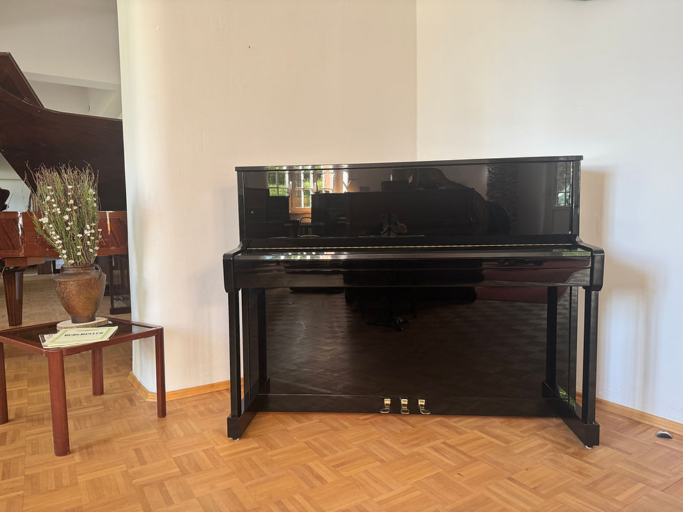 Miniaturbild: SCHIMMEL Modell 116 S in Schwarz poliert